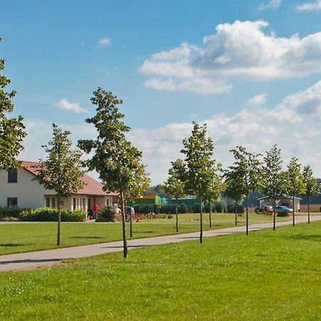 Ferienwohnung Hof Maiweg Alt Schonau 外观 照片