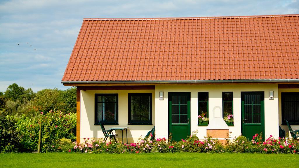 Ferienwohnung Hof Maiweg Alt Schonau 外观 照片